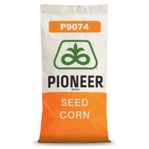 Pioneer® - Nasiona kukurydzy P9074