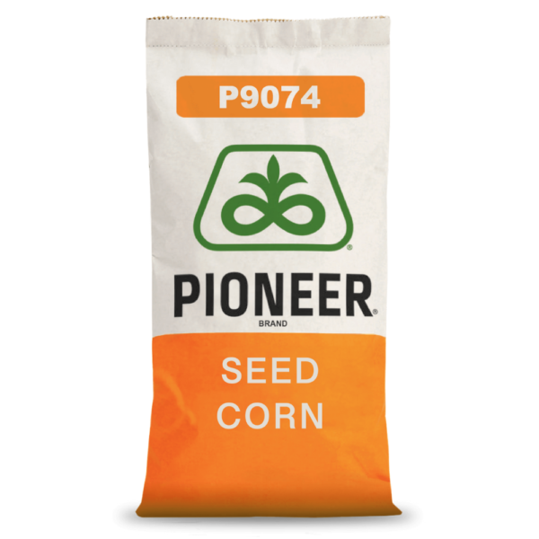 Pioneer® - Nasiona kukurydzy P9074
