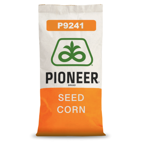 Pioneer® - Nasiona kukurydzy P9241