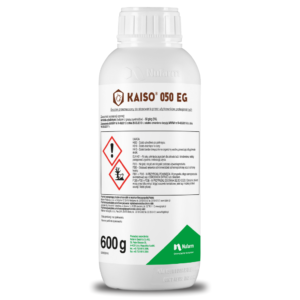 Kaiso 050 EG