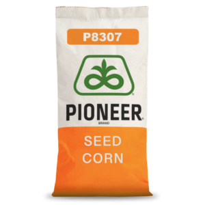 Pioneer® - Nasiona kukurydzy P8307