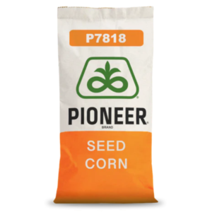 Pioneer® - Nasiona kukurydzy P7818