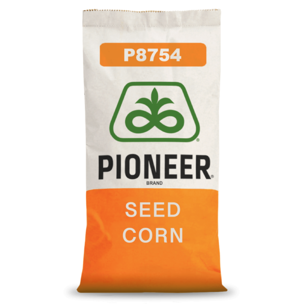 Pioneer® - Nasiona kukurydzy P8754